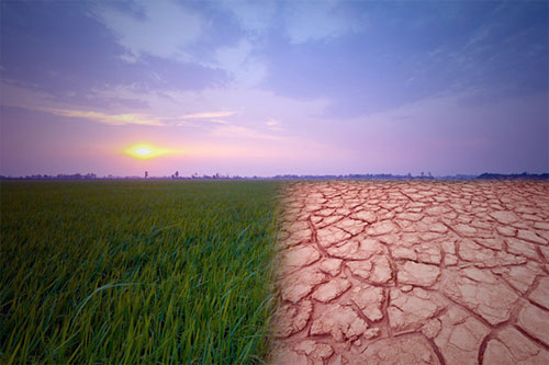 تاثیرات تغییرات آب و هوا بر کشاورزی